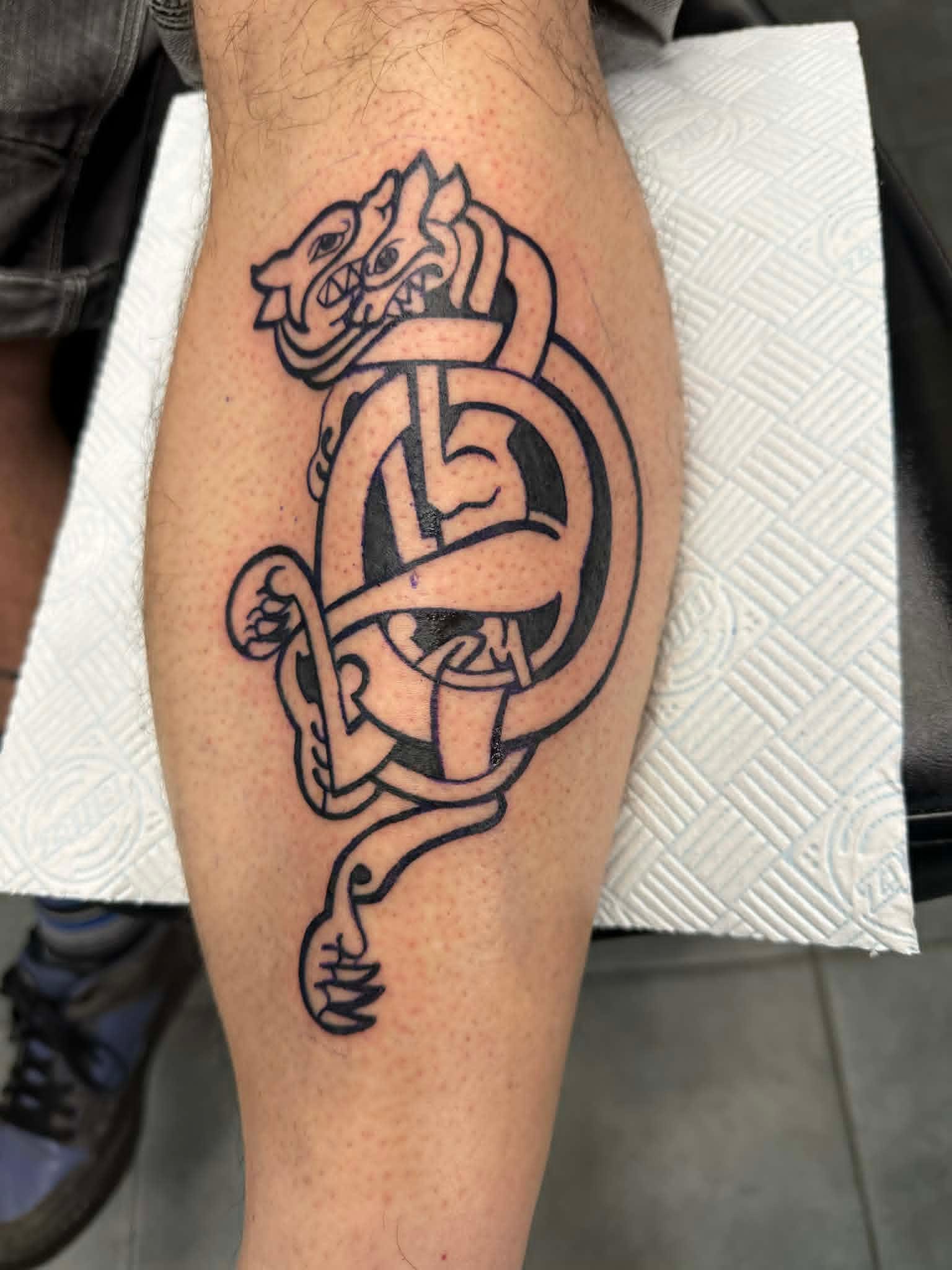 Custom Celtic knotwork beast tattoo on the calf by John Quinn at Tattoo Zone, tattoos Newcastle.