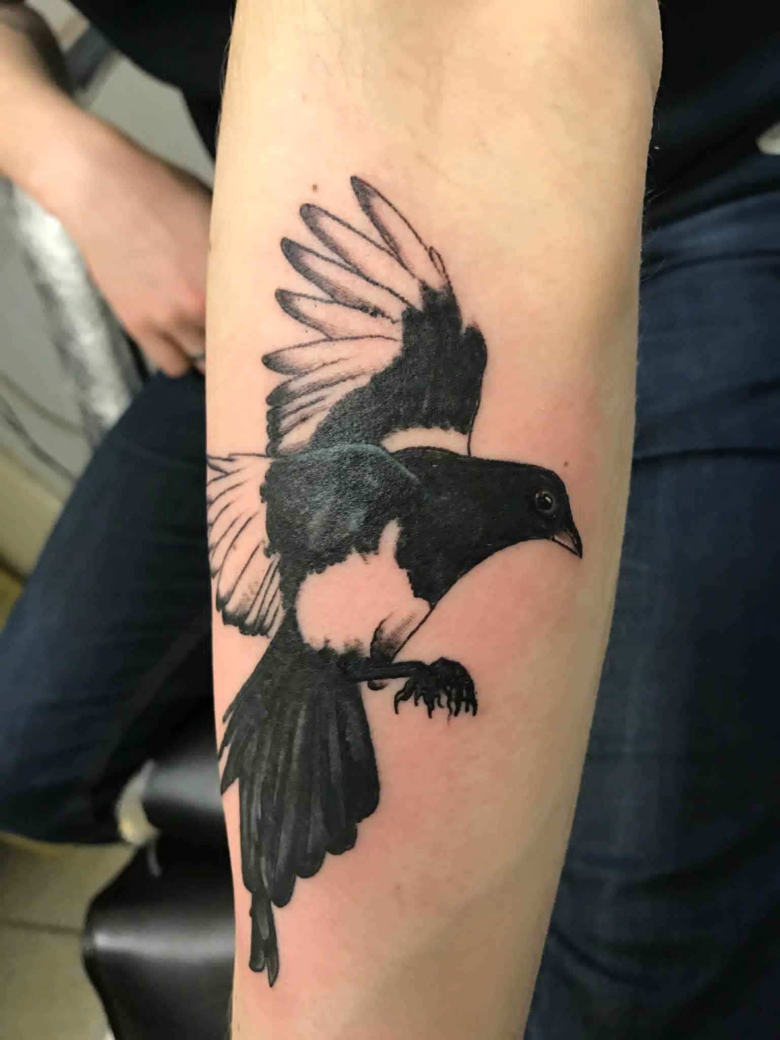 Black and grey realism flying magpie forearm tattoo by John Quinn at Tattoo Zone, tattoos Newcastle.