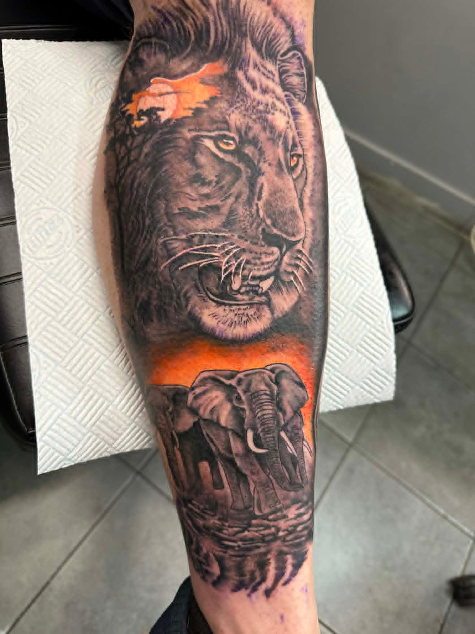 Realism roaring lion with orange African sunset and elephant below calf tattoo by John Quinn at Tattoo Zone Newcastle.