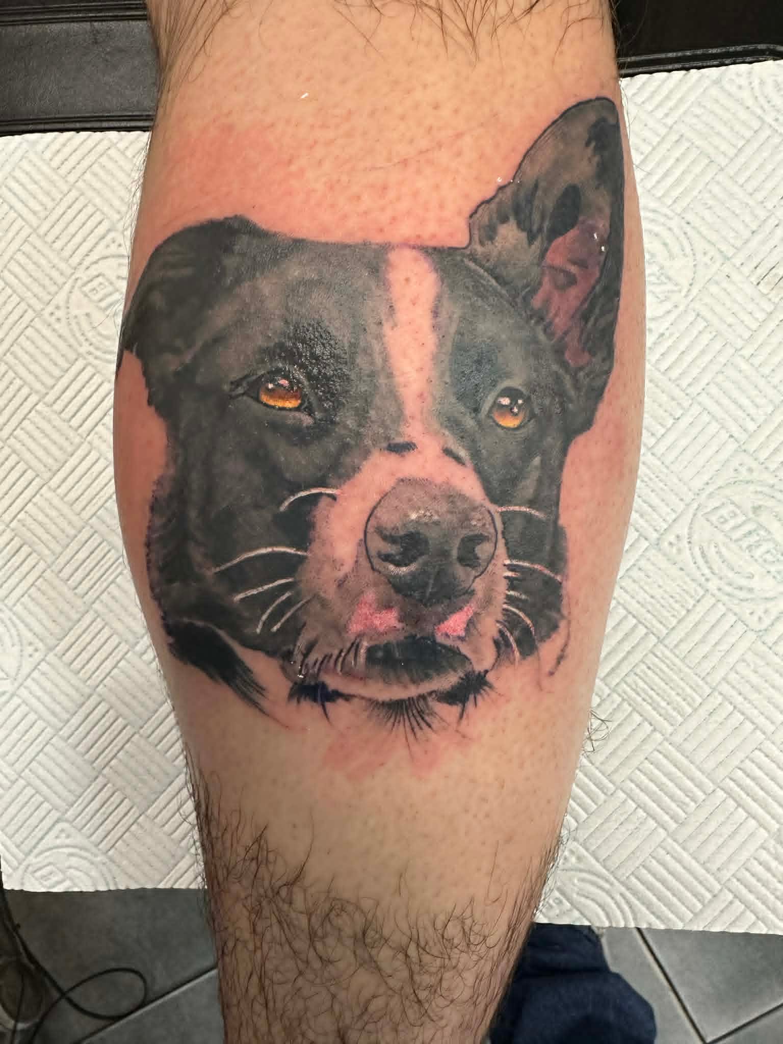 Photorealistic black dog portrait tattoo on the calf by John Quinn at Tattoo Zone Newcastle.