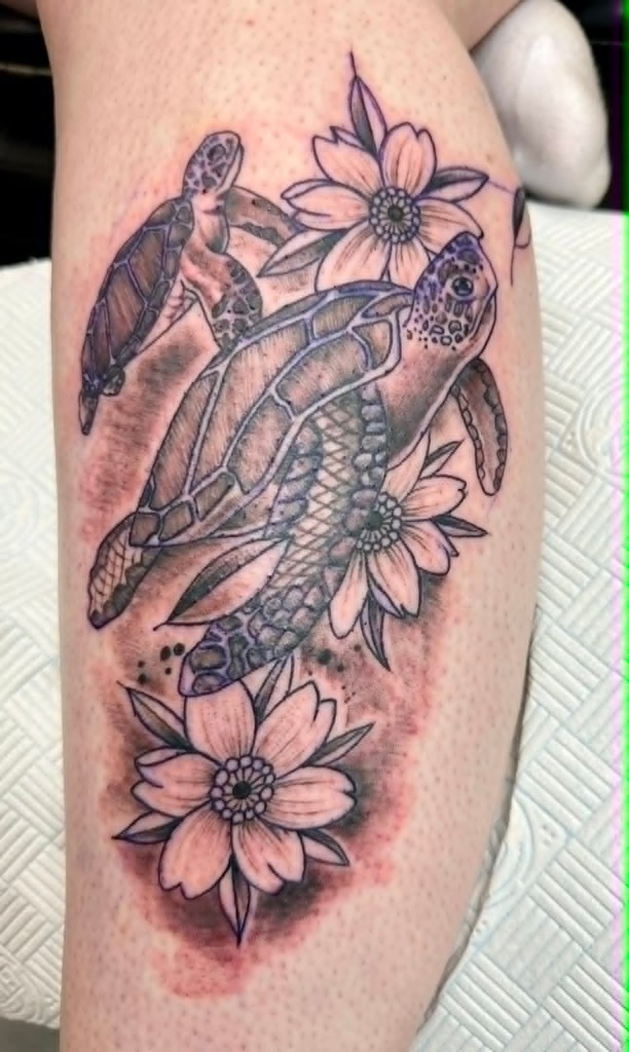 Black and grey sea turtles and flowers leg tattoo by John Quinn at Tattoo Zone, tattoos Newcastle.