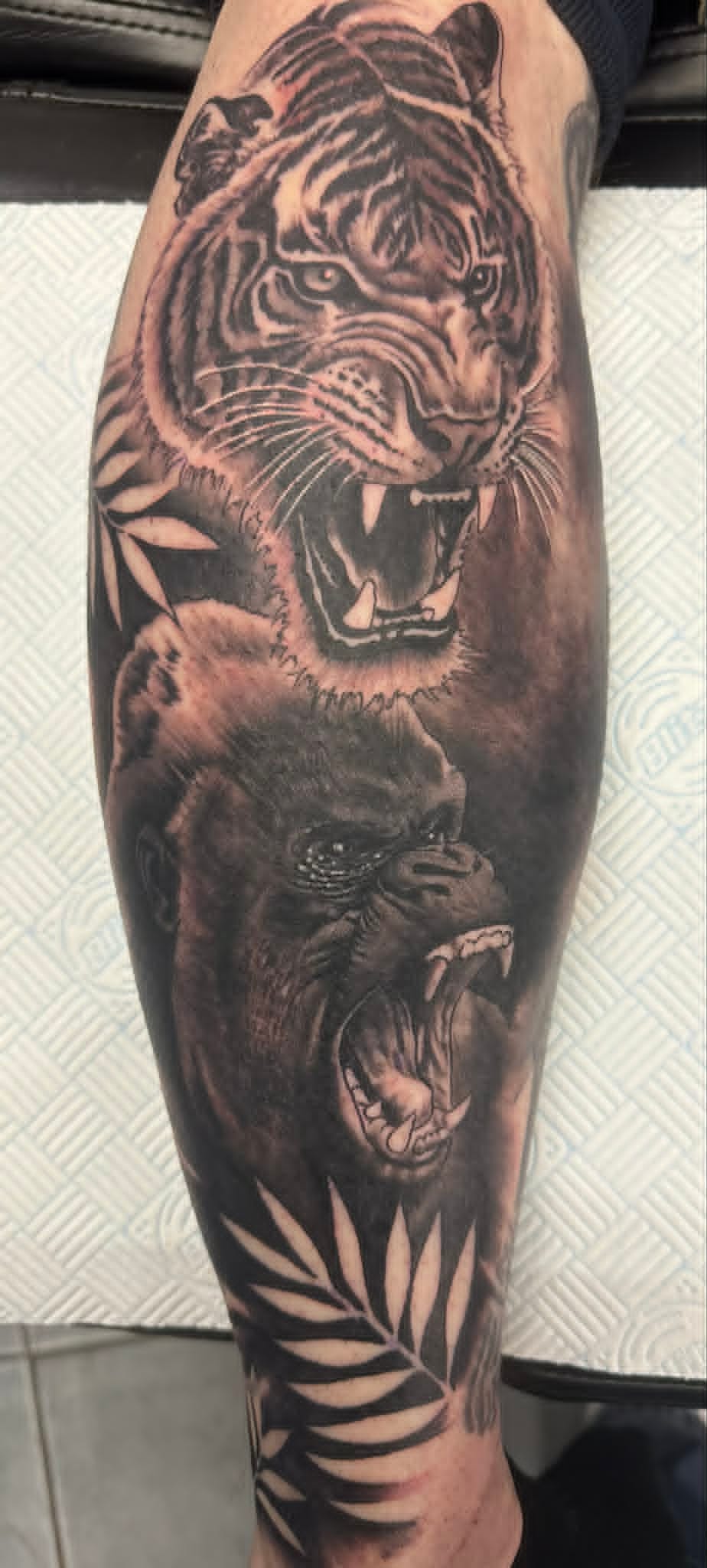 Realistic black and grey tiger and gorilla on calf by John Quinn at Tattoo Zone, tattoos Newcastle.